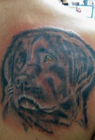 背部悲伤和聪明的狗头像纹身图案