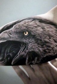 手臂自然逼真的彩色鹰头部纹身图案