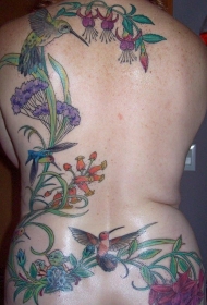 背部彩色的花朵和蜂鸟纹身图案