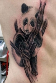侧肋树上的黑灰熊猫纹身图案