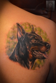 背部绿色背景与写实的杜宾犬纹身图案