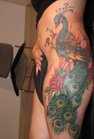 侧肋美丽的孔雀玫瑰纹身图案