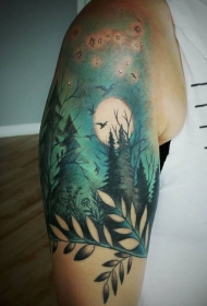手臂美丽的彩色夜森林小鸟和星星纹身图案