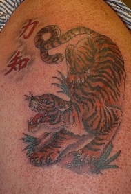 亚洲风格的老虎彩绘纹身图案