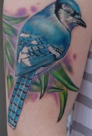 手臂壮观的彩色天然小鸟纹身图案