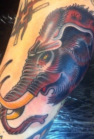 很酷多彩的巨大猛犸象头像纹身图案