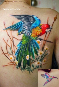 背部写实风格非常逼真的鹦鹉与花朵纹身图案