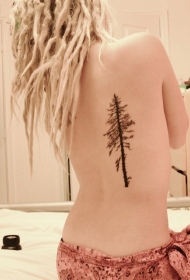 女生背部简约的云杉树纹身图案