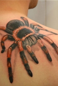 背部巨大的彩色蜘蛛纹身图案