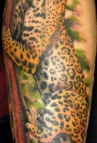 腿部好看的彩色豹子纹身图案