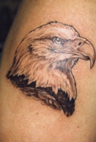 写实的黑灰鹰头纹身图案