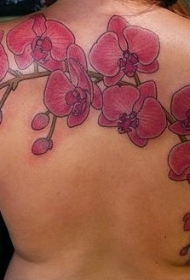 美丽的蝴蝶兰花背部纹身图案