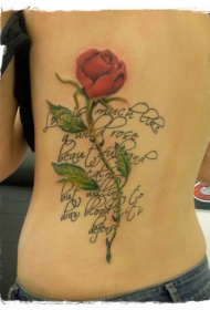 背部纪念式的玫瑰和字母纹身图案