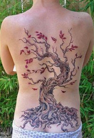 背部樱桃树彩色纹身图案