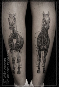小腿写实风格黑色马骨架肌肉纹身图案