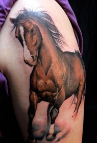 大臂美丽写实的马纹身图案
