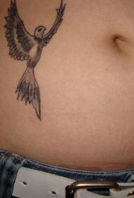 腹部黑白美丽的飞鸟纹身图案