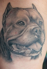 灰色的罗威纳犬头像纹身图案
