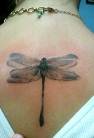 背部优雅的蜻蜓写实纹身图案