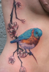 腰部多彩的精美小鸟花朵纹身图案