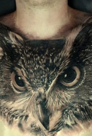 胸部美丽的猫头鹰纹身图案