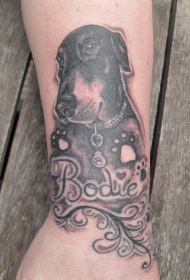 小臂可爱的黑白相间杜宾犬字母纹身图案