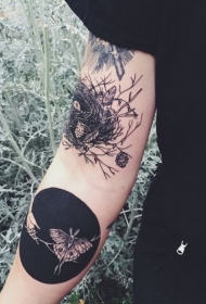 手臂不寻常的鸟巢和黑色圆圈蝴蝶纹身图案