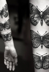 小臂美丽的雕刻风格蝴蝶纹身图案