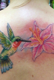 背部经典写实的蜂鸟花朵纹身图案