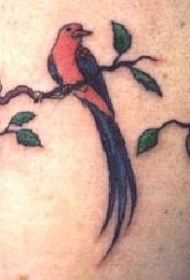 野生丛林鸟和树枝纹身图案
