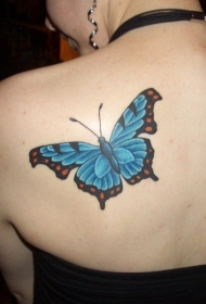 女生背部可爱的彩绘蝴蝶纹身图案