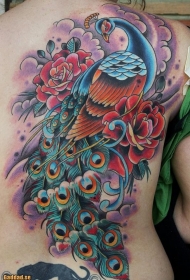 背部惊人的彩色孔雀鸟与玫瑰花纹身图案