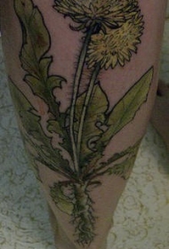腿部美丽的植物蒲公英彩色纹身图案