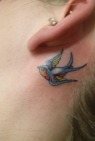 女生耳后蓝色鸟纹身图案