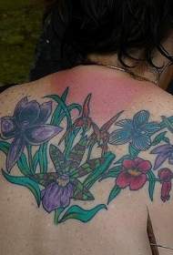 背部彩色不同品种的兰花纹身图案