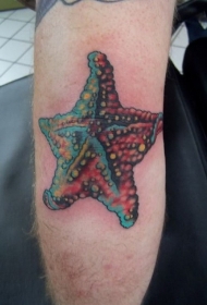 男子手臂生动的彩色海星纹身图案