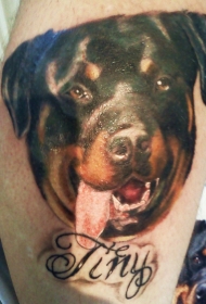 彩绘罗威纳犬的头像字母纹身图案