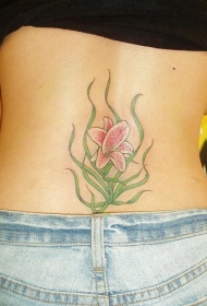 背部粉红的百合花纹身图案