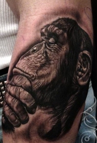 手臂思考的黑猩猩写实纹身图案