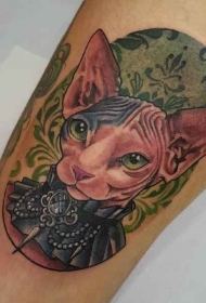 彩色的无毛猫与饰品纹身图案