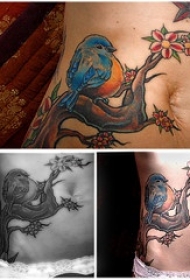 腹部彩色的花枝与蓝色鸟纹身图案