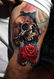 惊人的彩色逼真骷髅与玫瑰手臂纹身图案