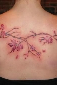 背部丰富多彩的藤蔓花朵纹身图案
