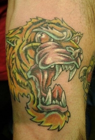 愤怒的亚洲虎头像彩绘纹身图案