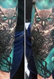 手臂五彩神秘的猫头鹰纹身图案