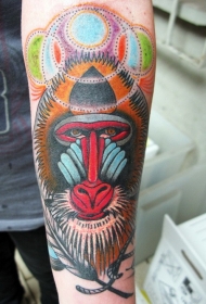 手臂美丽平静的彩色狒狒头像纹身图案