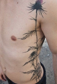 男性侧肋美丽的彩绘花朵纹身图案