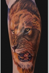手臂上写实咆哮的狮子纹身图案