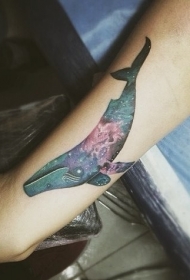 手臂彩色的中型鲸鱼纹身图案