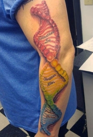 手臂非常多彩的DNA符号纹身图案